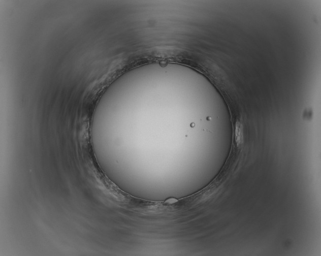 X0000111641107200907311245