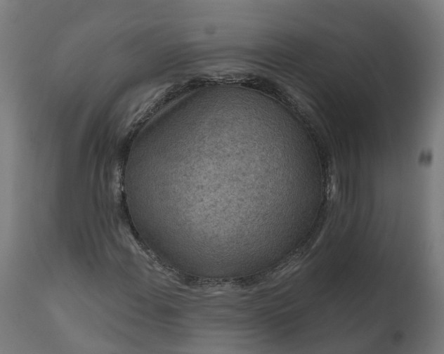 X0000111641108200907311245