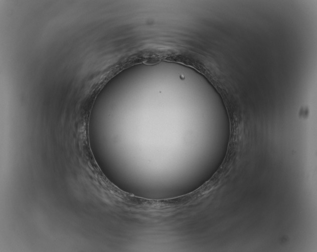 X0000111641109200907311245