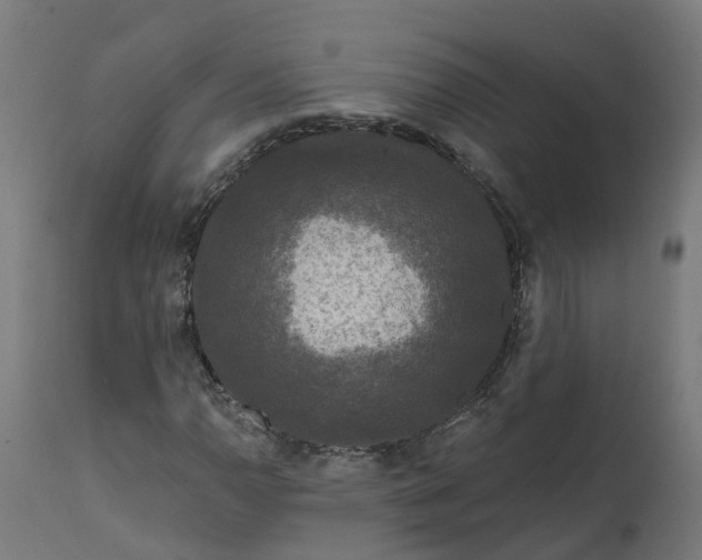 X0000111641110200907311245