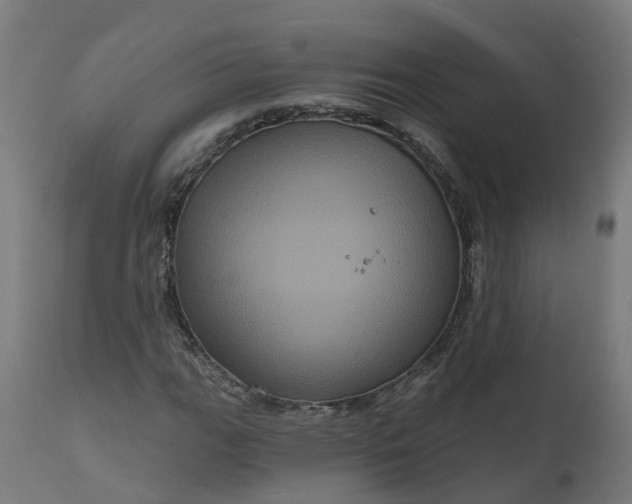 X0000111641111200907311245