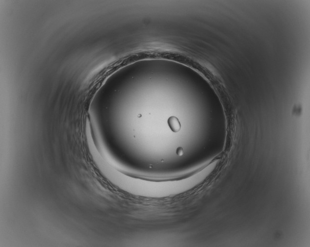 X0000111641112200907311245