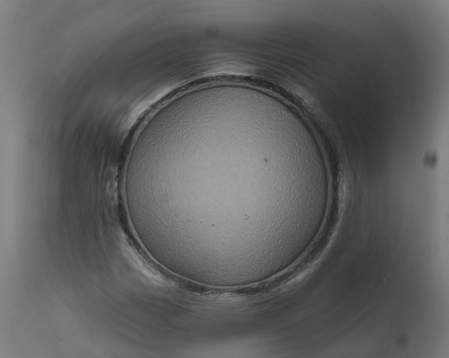 X0000111641113200907311245