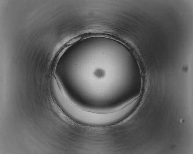 X0000111641114200907311245