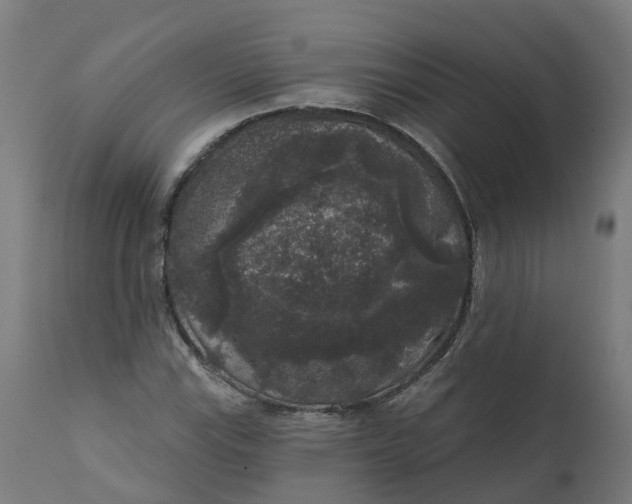 X0000111641115200907311245