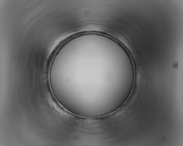 X0000111641116200907311245