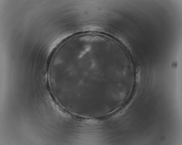 X0000111641117200907311245