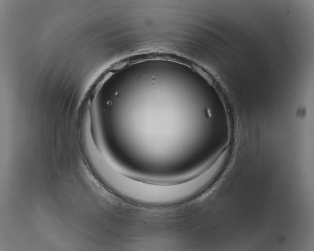 X0000111641118200907311245