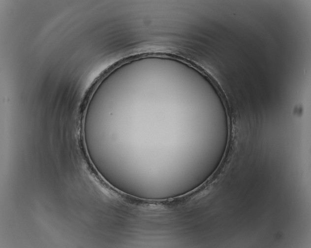 X0000111641119200907311245