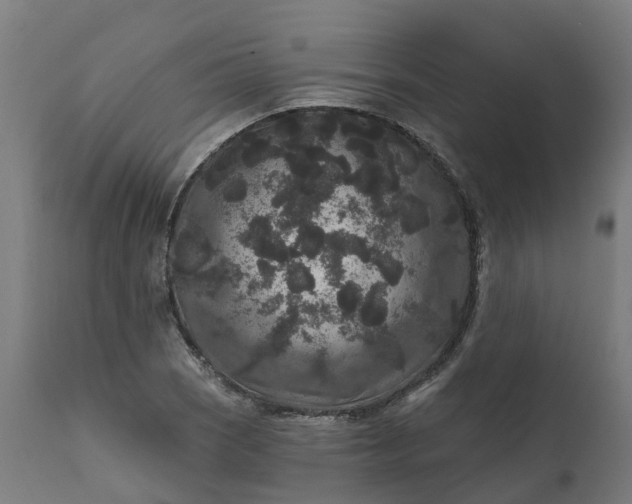 X0000111641121200907311245