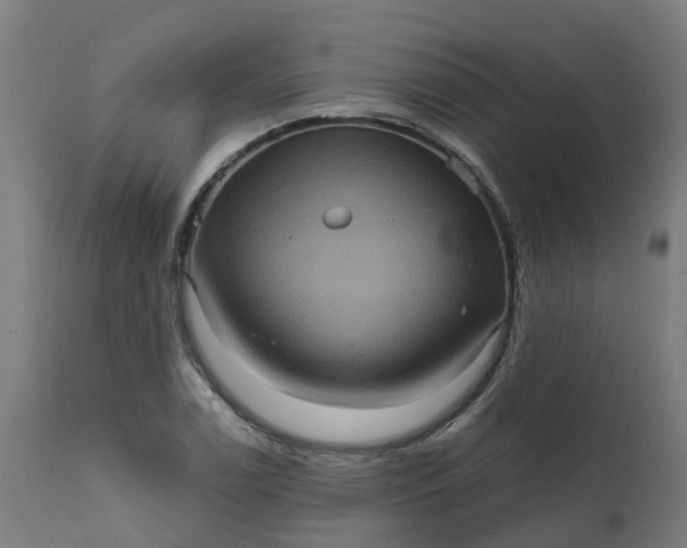 X0000111641122200907311245