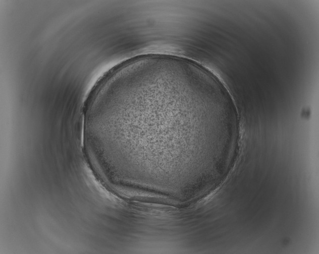 X0000111641123200907311245