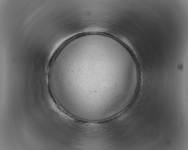 X0000111641124200907311245