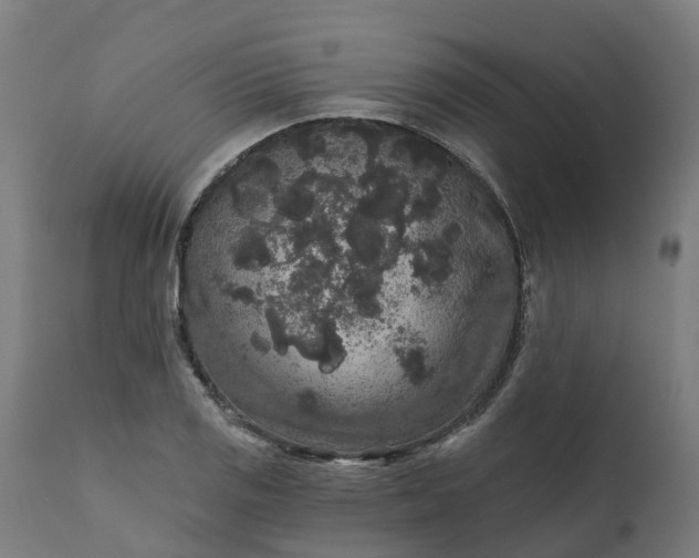 X0000111641125200907311245