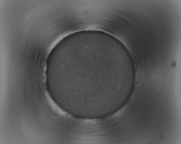 X0000111641126200907311245