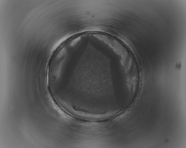 X0000111641127200907311245