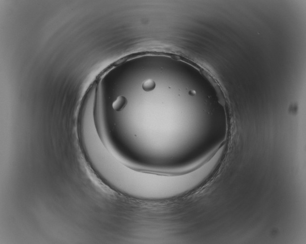 X0000111641128200907311245