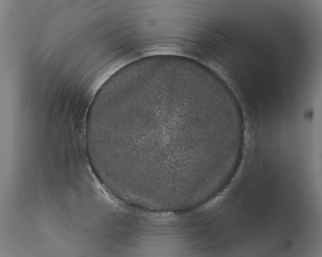 X0000111641129200907311245