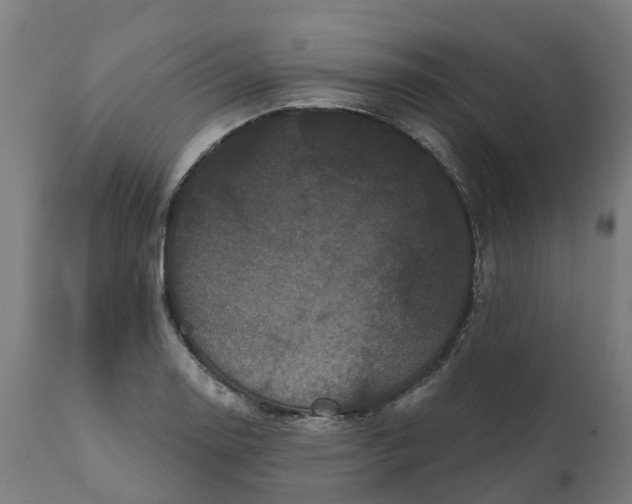 X0000111641130200907311245