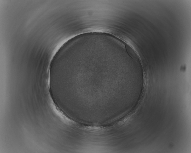 X0000111641132200907311245