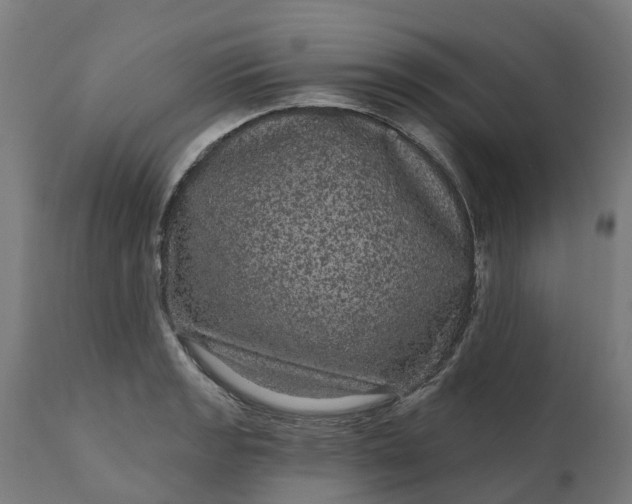 X0000111641133200907311245