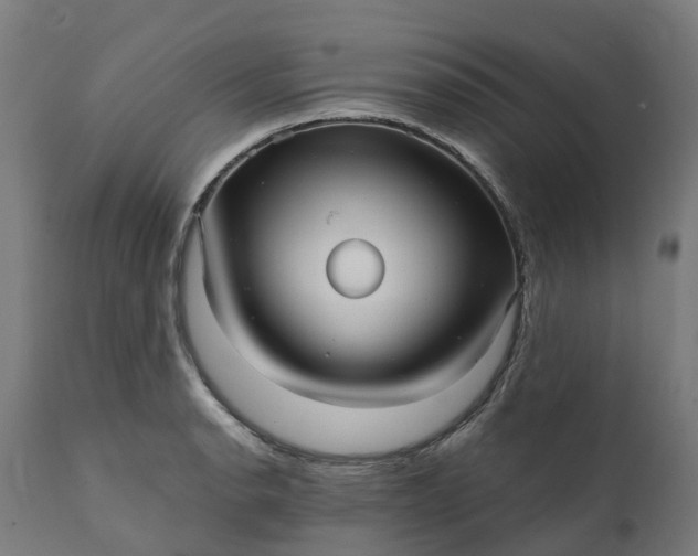 X0000111641134200907311245