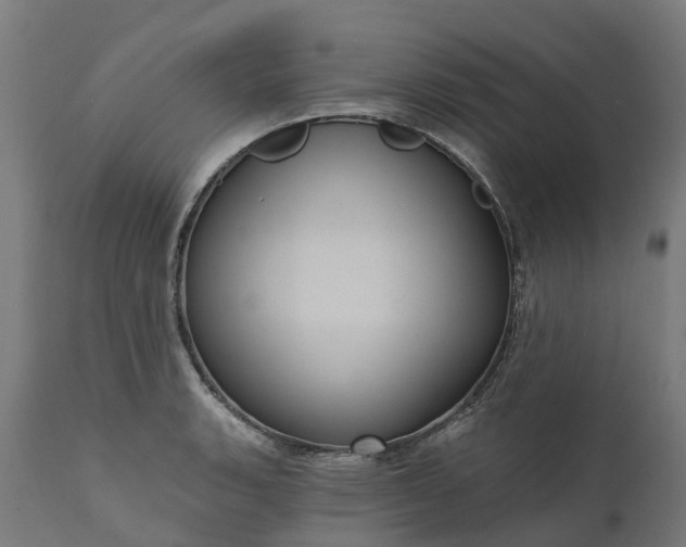 X0000111641135200907311245