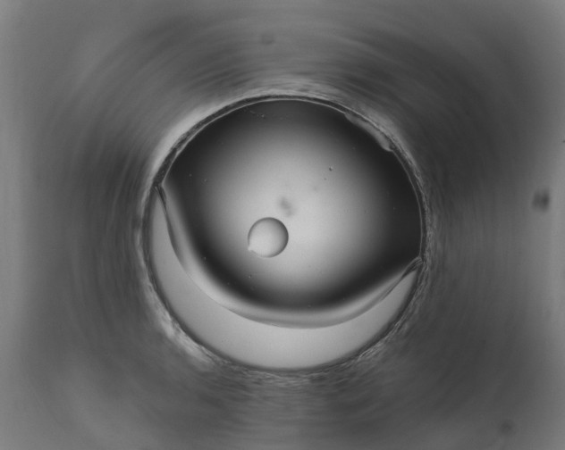 X0000111641136200907311245