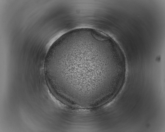 X0000111641137200907311245