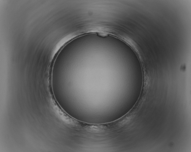 X0000111641138200907311245