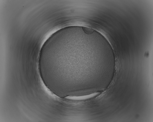 X0000111641139200907311245