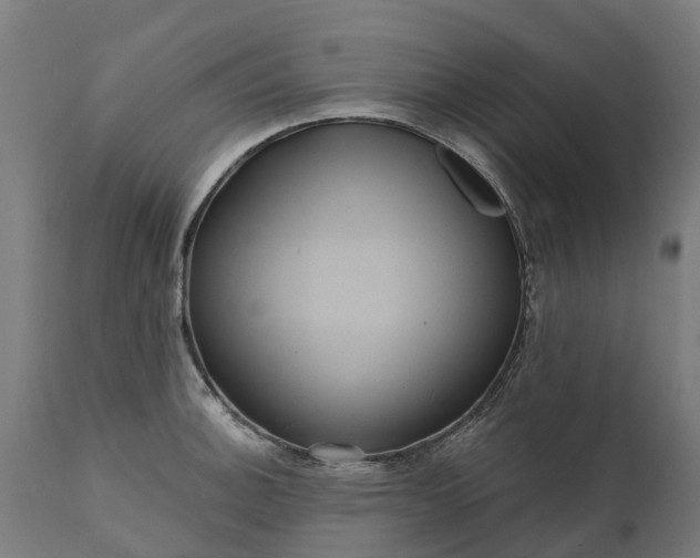 X0000111641140200907311245