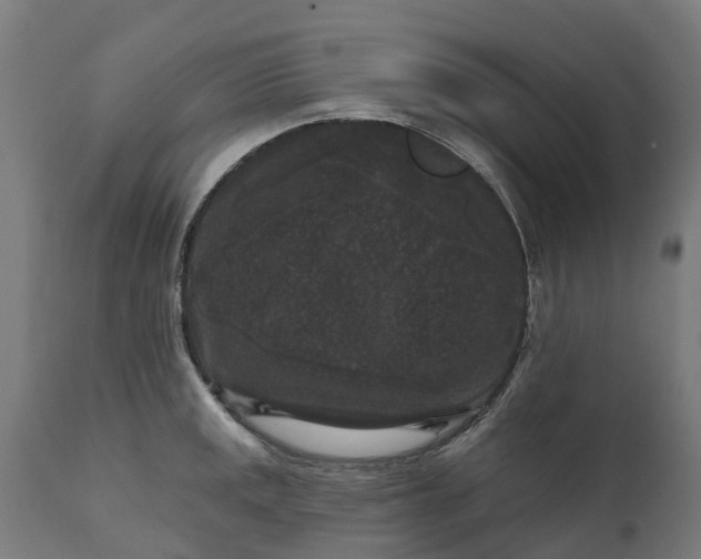 X0000111641141200907311245