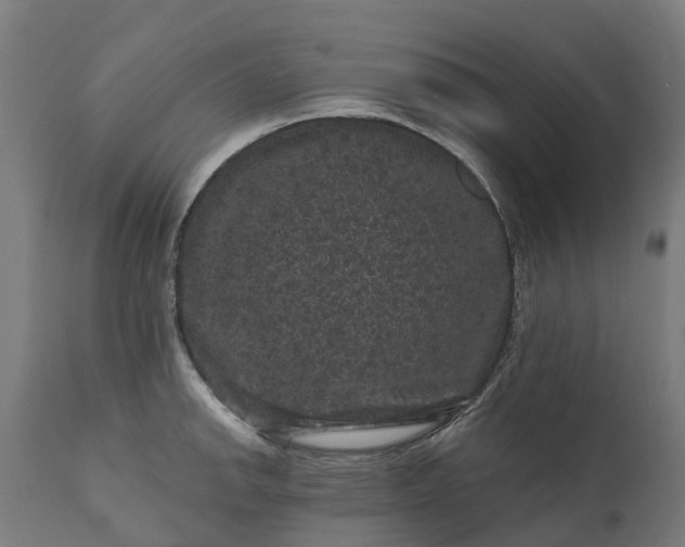 X0000111641142200907311245