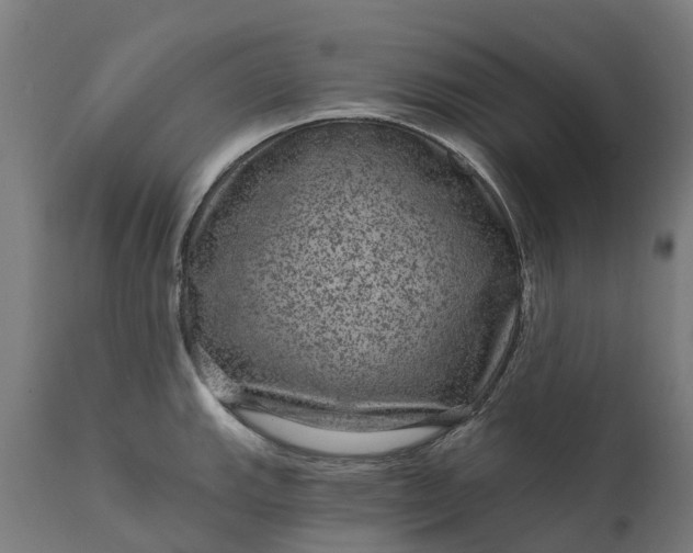 X0000111641143200907311245