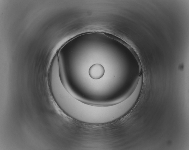 X0000111641144200907311246