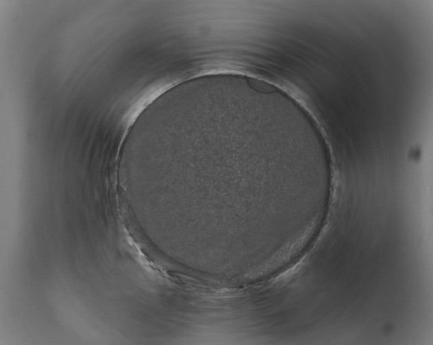 X0000111641145200907311246