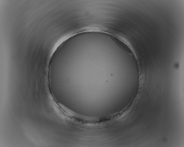 X0000111641146200907311246