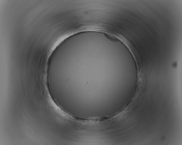 X0000111641147200907311246