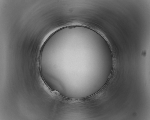 X0000111641148200907311246