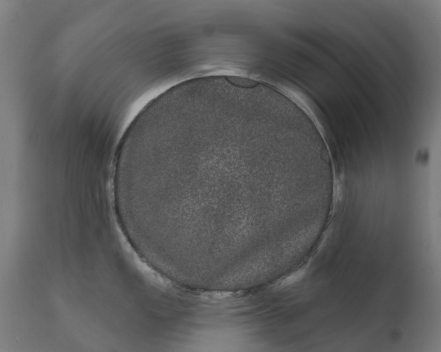 X0000111641149200907311246