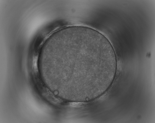 X0000111641150200907311246