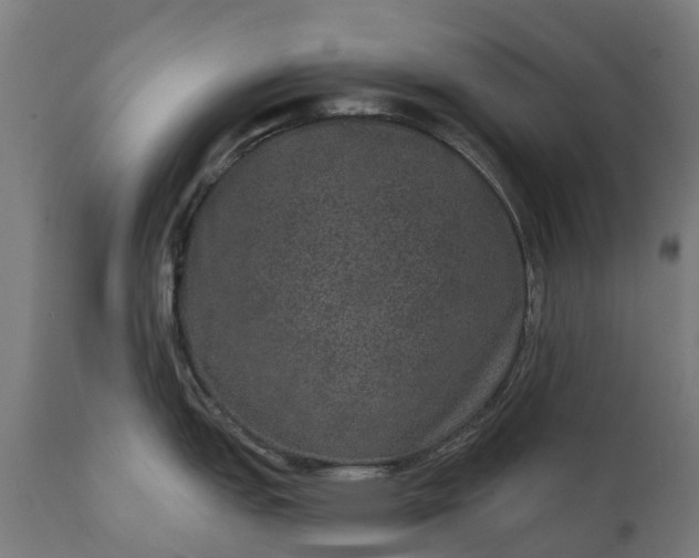 X0000111641151200907311246