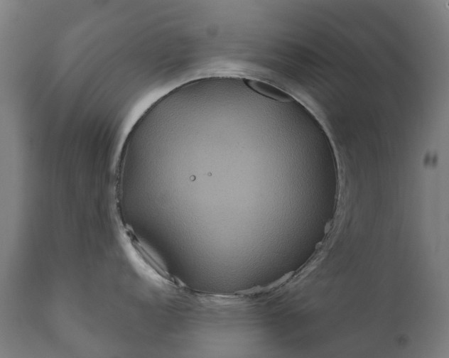 X0000111641152200907311246