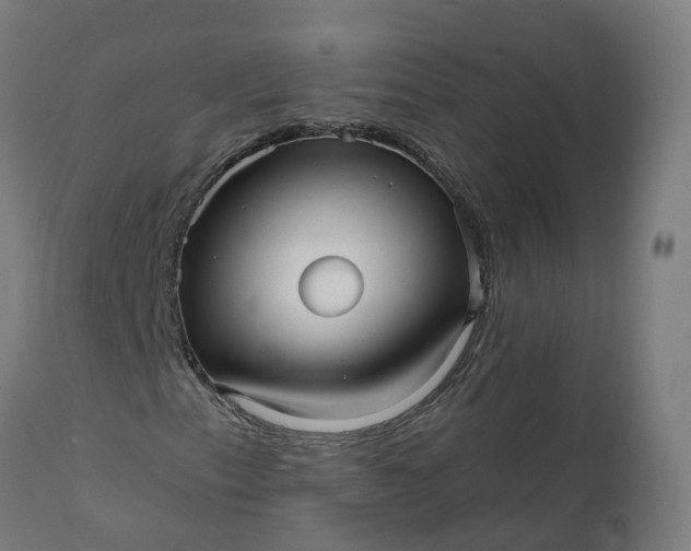 X0000111641153200907311245