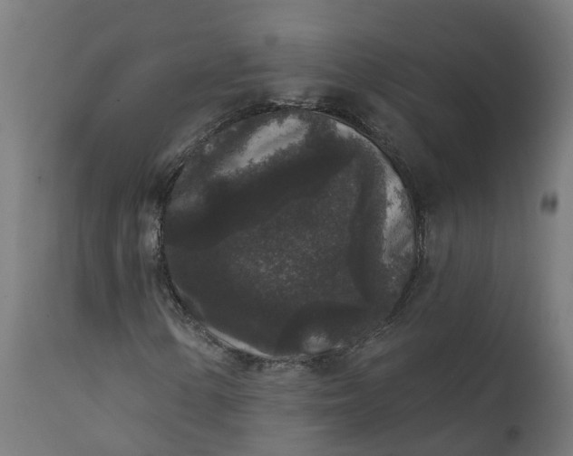 X0000111641154200907311245