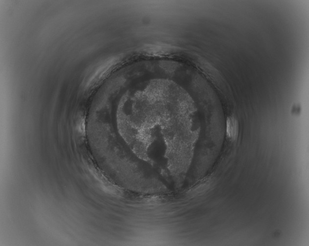 X0000111641155200907311245