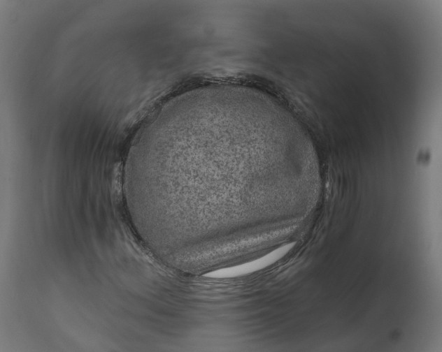 X0000111641156200907311245