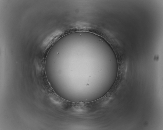 X0000111641157200907311245