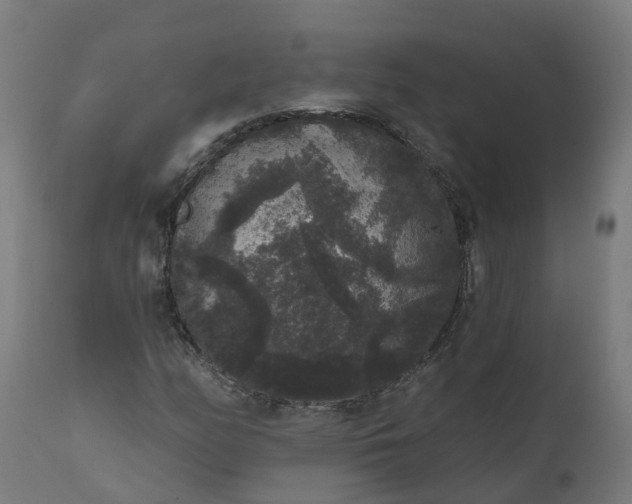 X0000111641158200907311245